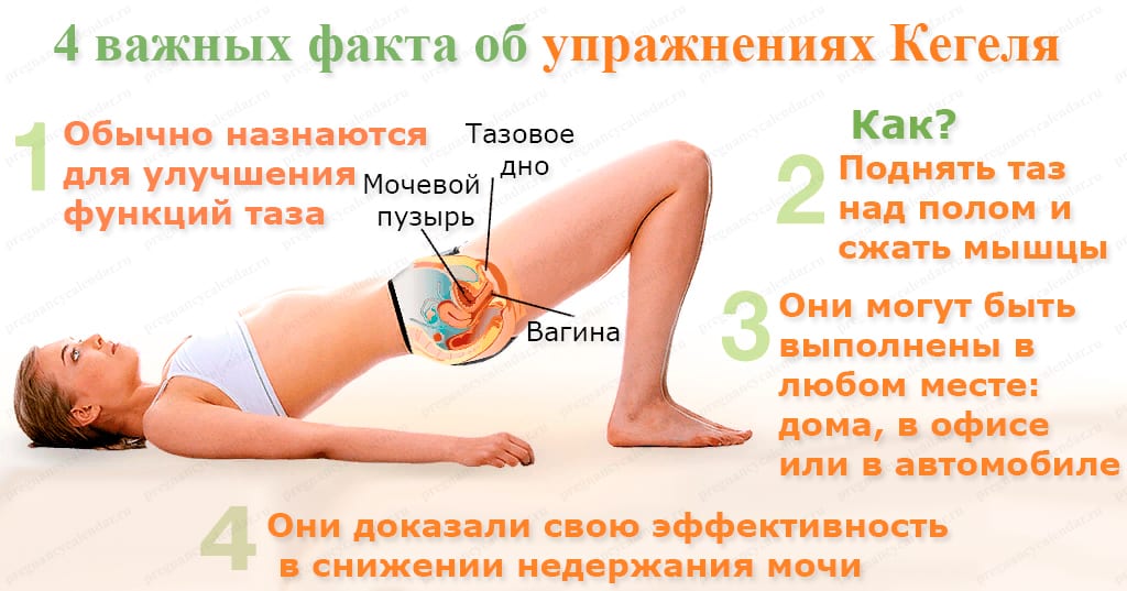 Упражнения Кегеля