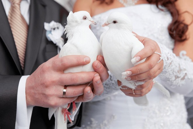Годовщины свадеб и их названия: поздравления, стихи, подарки